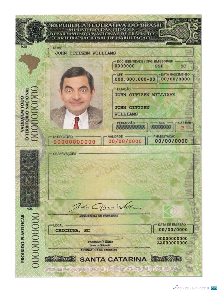 download Brazil(SantaCatarina)driving license